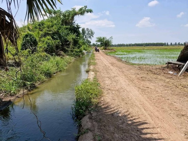 ขายที่นาแปลงสวย อำเภอคลองขลุง จ.กำแพงเพชร 28 ไร่ 2 งาน 6 ตรว.