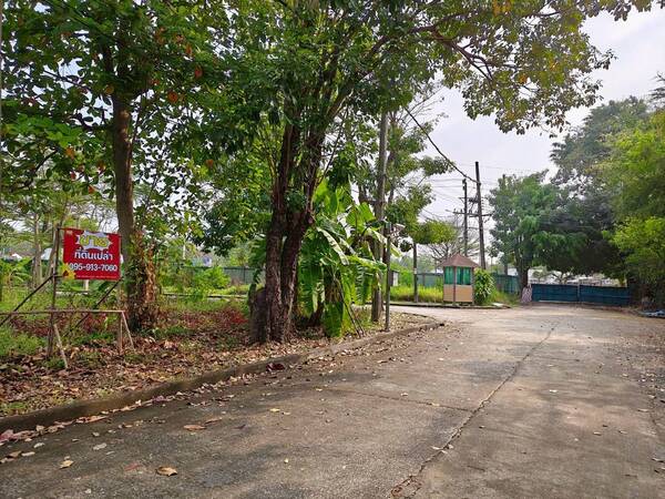 ขาย ที่ดินเปล่า รวมสองโฉนด ม.นวธานี เสรีไทย 59 รวมสองโฉนด ม. นวธานี ซ. เสรีไทย 59 แขวง รามอินทรา แขวง คันนายาว กทม.