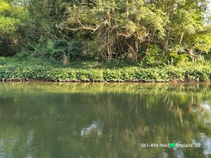 ขายที่สวยติดแม่น้ำนครนายก ต.สาริกา อ.เมืองนครนายก เจ้าของปรับพื้นที่สวย รถวิ่งได้ทั่วทั้งแปลง มีต้นไม้ใหญ่ในแปลงร่มรื่นสบายตา