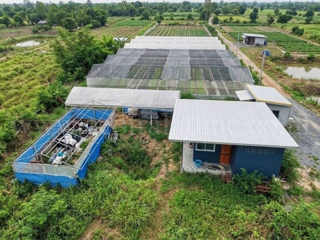 ที่ดิน พร้อมสิ่งปลูกสร้าง 4-0-69.6 ไร่ หนองเพรางาย ไทรน้อย ทำเลดี