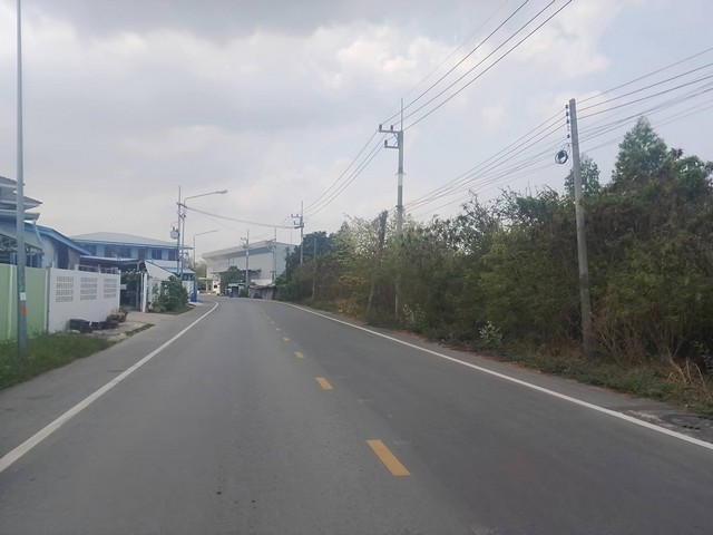 ขายที่ดินพานทองชลบุรี ขายที่ดิน เนื้อที่ 9 ไร่ อมตะนคร-บ้านเก่า  พื้นที่สีม่วงลาย