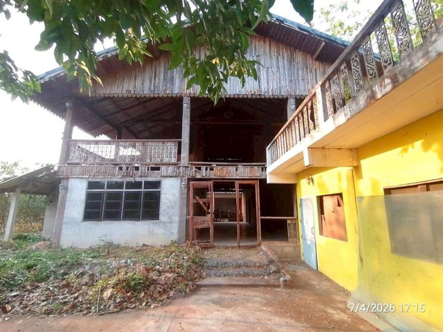 บ้านเดี่ยว ขอนแก่น ถนน เทศบาลพัฒนา  อำเภอ ชุมแพ จังหวัด ขอนแก่น
