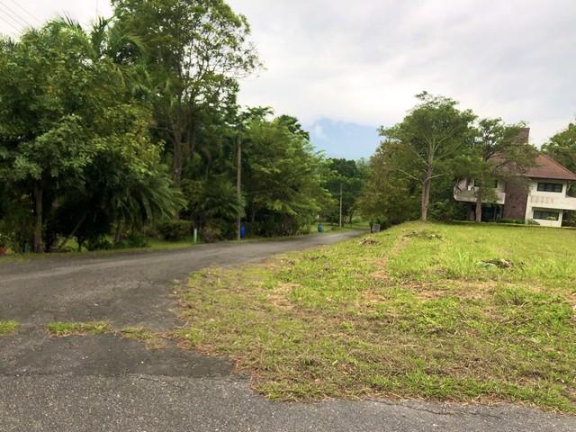 ขายที่ดิน 470 ตร.ว. ในสนามกอล์ฟเซอร์เจมส์คันทรีคลับ Forest Hill มวกเหล็ก สระบุรี