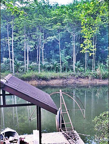 รหัส:  สวนยาง ไม้กฤษณา จันทบุรี 44ไร่ sale ที่ดิน สวนยาง-ไม้กฤษณา วิวเขา จันทบุรี 17682 sq.wa  ไม่ไกลจาก ตลาดบ้านอ่าง เซเว่นตลาดบ้านอ่าง  ลดกระจาย