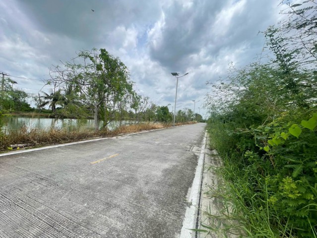 ขายที่ดินถมแล้วพร้อมสร้าง  409 ตร.ว. ทำเลดี บางนา-ตราด ใกล้สุวรรณภูมิ