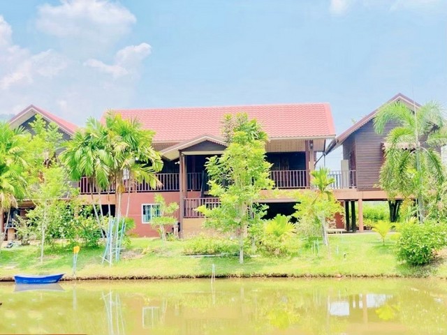 ขายบ้านเดี่ยวพร้อมที่ดิน อ.ชุมแพ จ.ขอนแก่น เนื้อที่  4 ไร่ เฟอร์นิเจอร์ครบพร้อมอยู่ วิวภูเขา วิวสวย บรรยากาศดี 