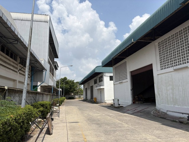  ให้เช่าโกดัง พื้นที่ใช้สอยรวม 140 ตารางเมตร ราชาเทวะ บางพลี รถคอนเทนเนอร์เข้าออกสะดวก โครงการสะอาด ปลอดภัย