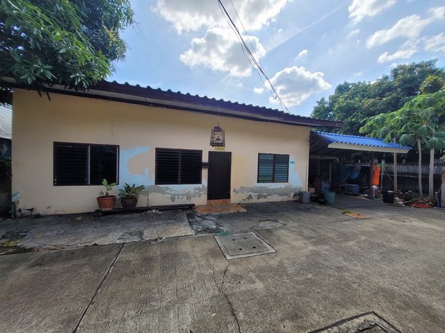 ขายบ้านเดี่ยว  ซอยชุบทองดี  ถนนลำลูกกา อำเภอลำลูกกา ปทุมธานี