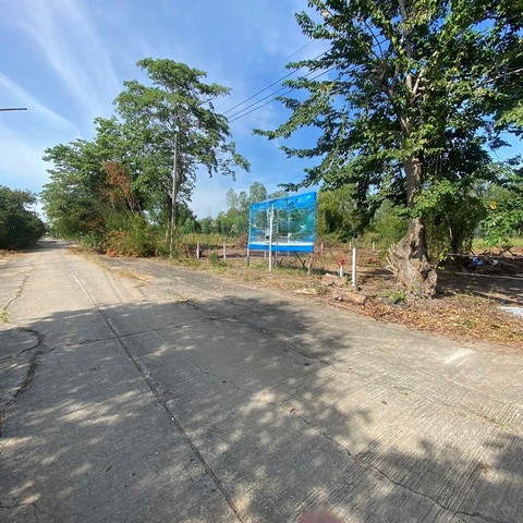 ขาย ที่ดินเปล่า  อำเภอบางไทร พระนครศรีอยุธยา  ห่างจาก วัดสว่างอารมณ์ 9.4km.