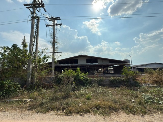 ขายโกดัง  ตำบลกลอนโด อำเภอด่านมะขามเตี้ย กาญจนบุรี 