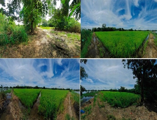 ขาย ที่ดินเปล่า อำเภอบางไทร พระนครศรีอยุธยา  ห่างจาก  ปั๊มน้ำมัน PT บางไทร 9.4 km.	