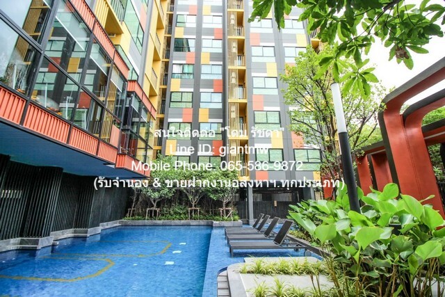 คอนโด. พลัมคอนโด สุขุมวิท 97.1  13000 thb ใกล้ 93 Market 1.2 กม. เข้าออกได้หลายทาง กรุงเทพ