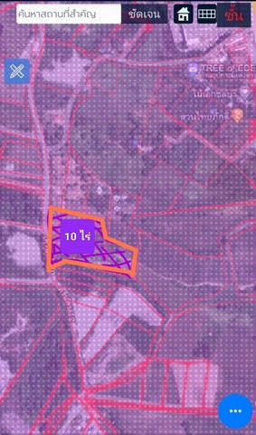 ขายที่ดินหนองข้างคอกเมืองชลบุรี ขายที่ดินเนื้อที่ 10 ไร่เศษ พื้นที่สีม่วงลาย ทางเข้าที่ดิน 800 เมตร จากถนนบายพาส