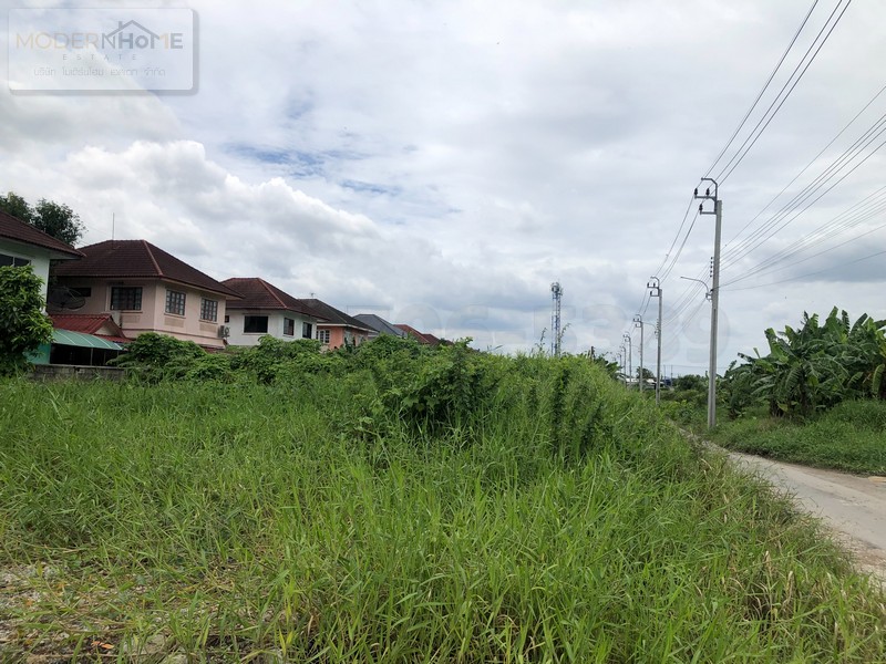 ขายที่ดิน 200 ตารางวา ซอยหทัยราษฎร์ 36 ถนนหทัยราษฎร์ แขวงสามวาตะวันตก เขตคลองสามวา กรุงเทพมหานคร 