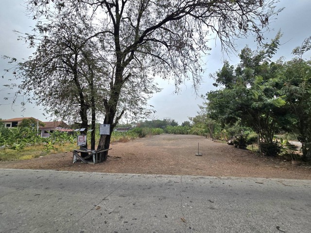 ขายที่ดินปทุมธานี ลาดหลุมแก้ว ถมแล้ว ติดถนน ใกล้ราชพฤกษ์-กาญจนาภิเษก