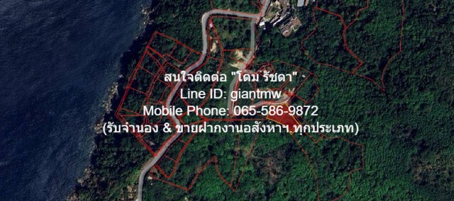 พื้นที่ดิน ที่ดิน ใกล้หาดกมลา อ.กะทู้ จ.ภูเก็ต 0 ตาราง.วา 0 Ngan 2 ไร่  34000000 บาท ราคาเดียว ภูเก็ต   