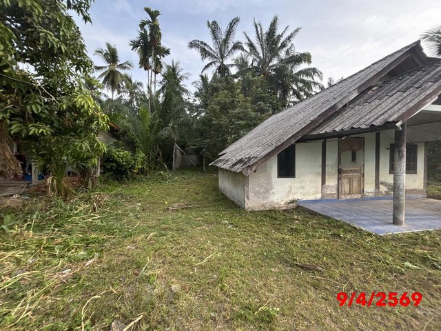 ขายบ้านเดี่ยวสุราษฎร์ธานี   อำเภอชัยบุรี  ถนน สายบ้านคลองศอก - บ้านคลองพัง ราคาโปรโมชั่น