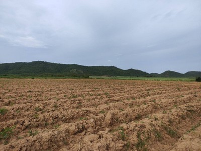 ขายที่ดิน กาญจนบุรี 100 ไร่ ติดถนนลาดยาง  เหมาะทำการเกษตร ใกล้แหล่งน้ำ