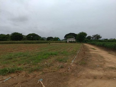 ขายที่ดิน ท่าม่วง กาญจนบุรี  1 ไร่ ใกล้แหล่งชุมชน เหมาะสร้างบ้าน ทำการเกษตรเล็กๆ หรือซื้อเก็บไว้