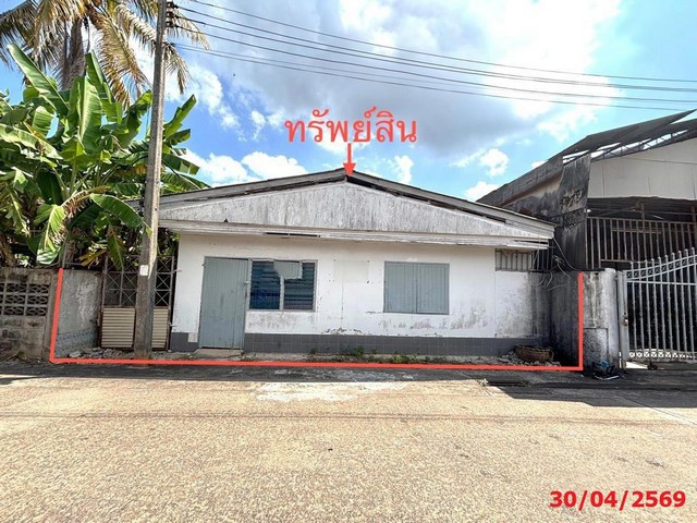 ขายบ้านเดี่ยวเมืองสุราษฎร์ธานี  ถนนวัดโพธิ์-บางใหญ่