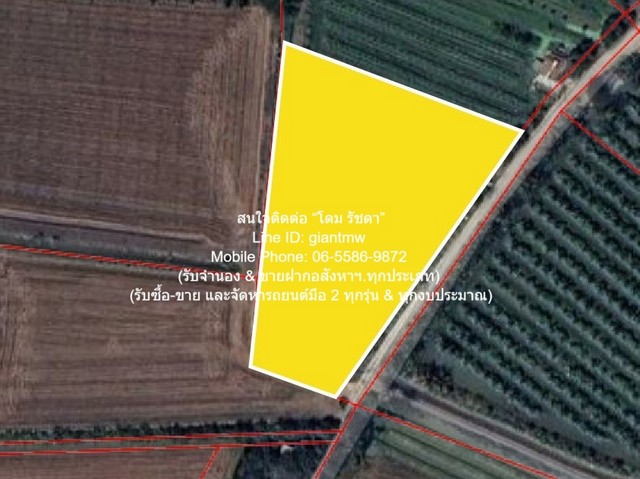 DSL-1046 ขาย ที่ดิน ขายที่ดินทางการเกษตร (ต้นดอกรัก) อ.นครชัยศรี นครปฐม 4-1-67 ไร่ ราคา 8,835,000 บาท  นครปฐม    8835000 บาท 4 ไร่ 1 งาน