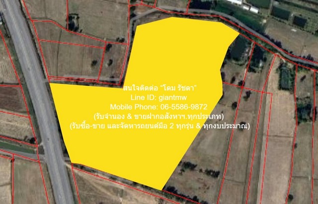 DSL-1117 ขาย ที่ดิน ขายที่ดินเปล่าติดถนน 4 เลน อ.พยัคฆภูมิพิสัย จ.มหาสารคาม 36-1-50 ไร่ ราคา 18,187,500 บาท  มหาสารคาม    พยัคฆภูมิพิสัย   